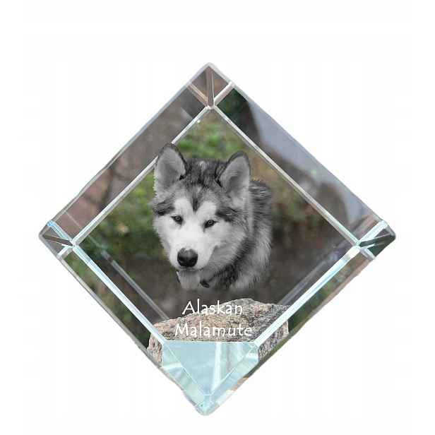 Alaskan Malamute křišťálová kostka s fotografií psa, ozdoba na stůl
