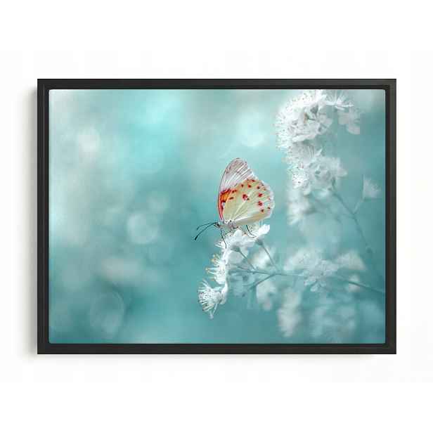 Obraz Rám Americký Box Jemný Motýl Bílé Květy Turkus Bokeh 80x60