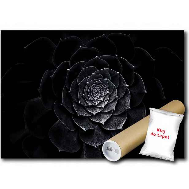Fototapeta Černý Květ 15B F3XL 416x254 F13483