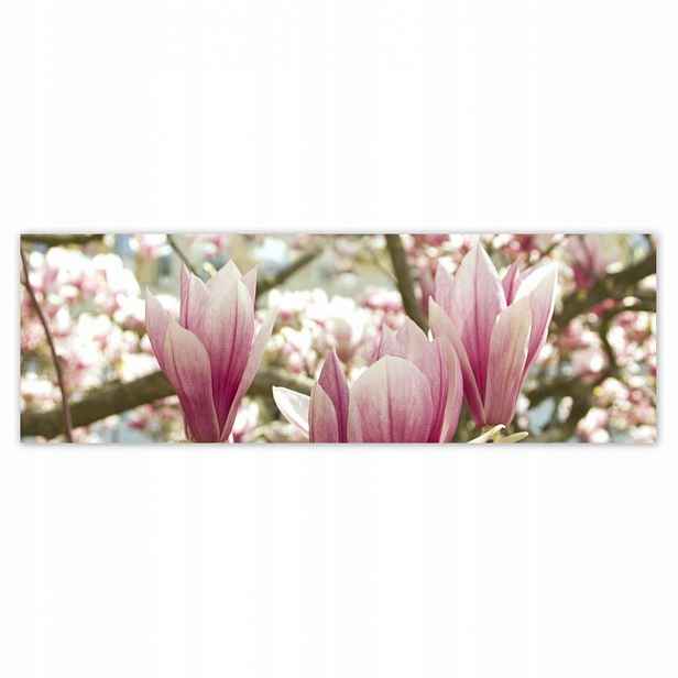 Plakáty 200x66 Magnolie