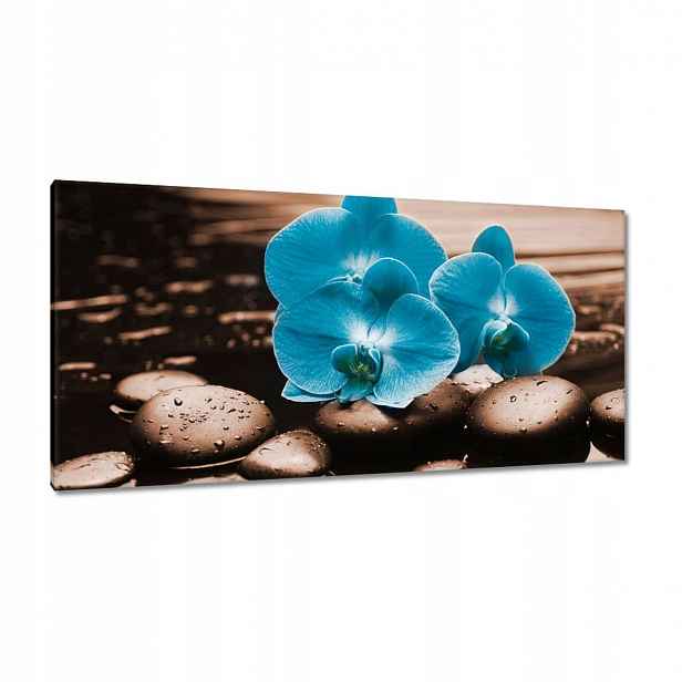 Obrazy 115x55 Tyrkysový orchidej