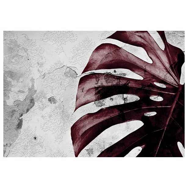 Fototapeta Monstera bordó listy vinylová vintage vzor 254x184 lepidlo