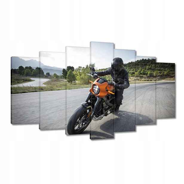 Obrazy 140x80 Harley Davidson Motocykl
