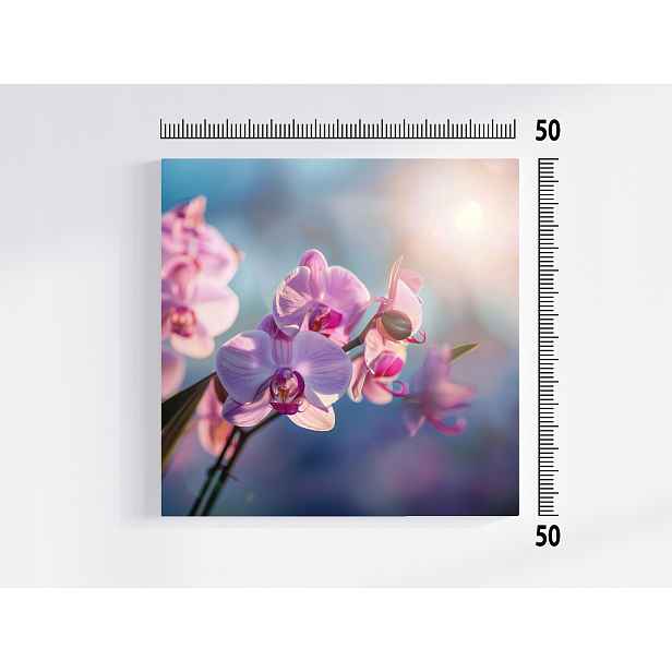 Obraz Na Plátně Canvas Zen Květina Orchidej Příroda 50x50
