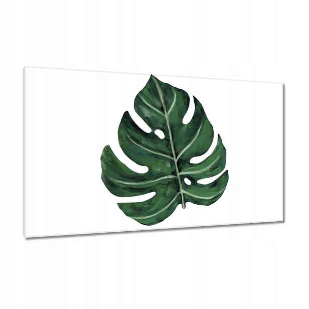 Obrazy 120x70 Monstera Zelený list