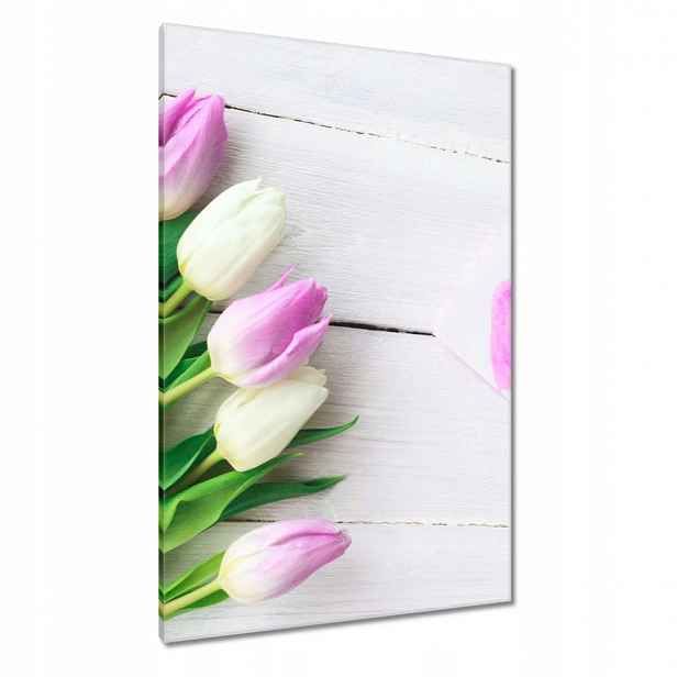 Obrazy 80x120 Jemné tulipány