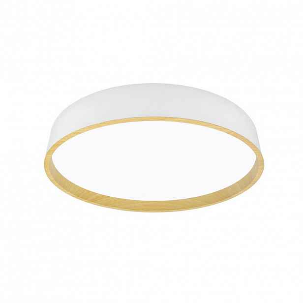 STROPNÍ LED SVÍTIDLO, 50/8 cm