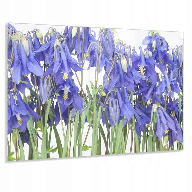 Tvrzený Panel 90x60cm 4mm Lacobel Do Kuchyně Ochranný Dekorativní