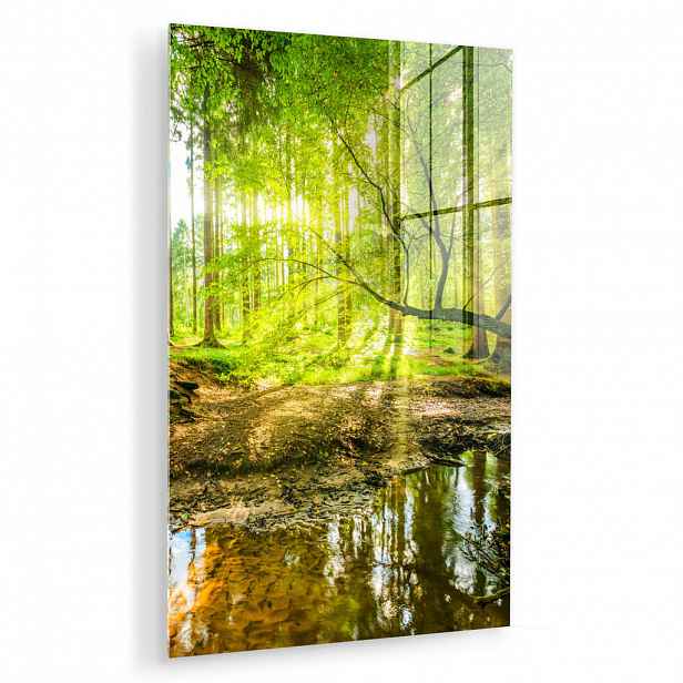 MuchoWow OBRAZ NA AKRYLOVÉM SKLE Les - Krajina - Voda - Stromy - Slunce - Zeleň - Příroda 40x60 cm