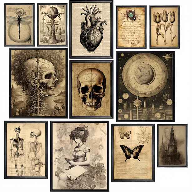 TEMU Sada 12 ks anatomického umění Dark Academia - Bezrámová gotická nástěnná dekorace, tisky 8x10" pro každodenní kancelářské použití, ideální pro