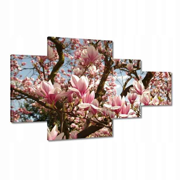 Obrazy 130x80 Magnolie Květiny Světle Modrá