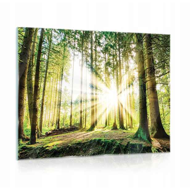 Skleněný obraz na skle Les Příroda Krajina 80x60