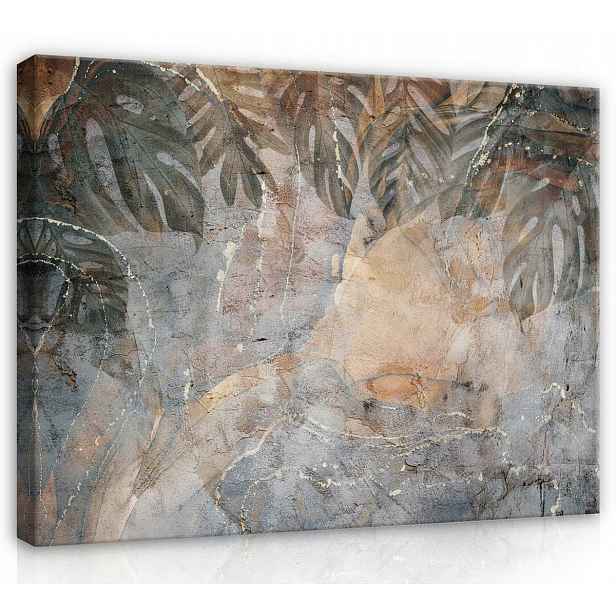 Obraz Na Plátně Plátno 70x50 Listy Rostlin Monstery Betonová Struktura