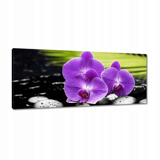Obrazy 100x40 Fialové orchideje