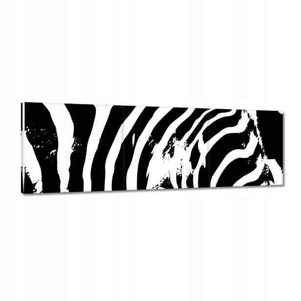 Obrazy 120x40 Zebra Pruhy Zvířátko