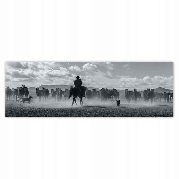 Plakáty 200x66 CowBoy na koni
