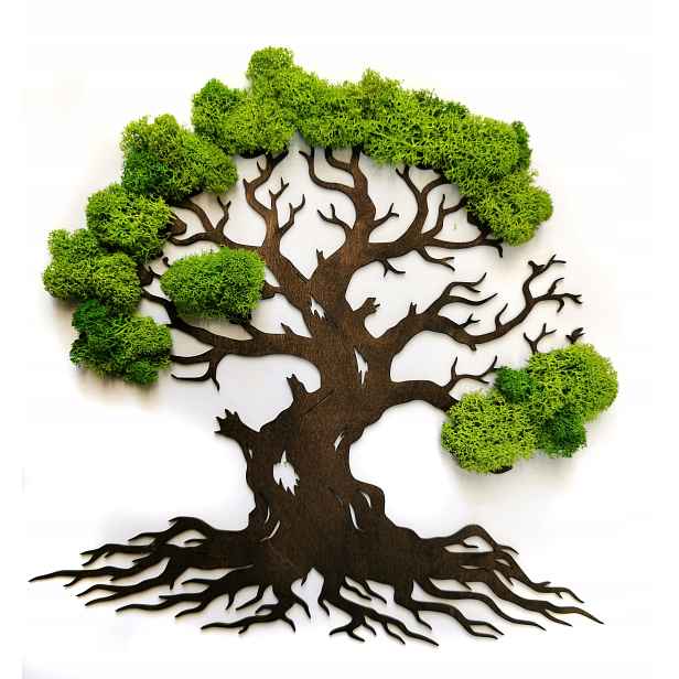 Obraz Dřevo Mech 40cm/40cm chrobotek bonsai Dekorace Do Obývacího Pokoje