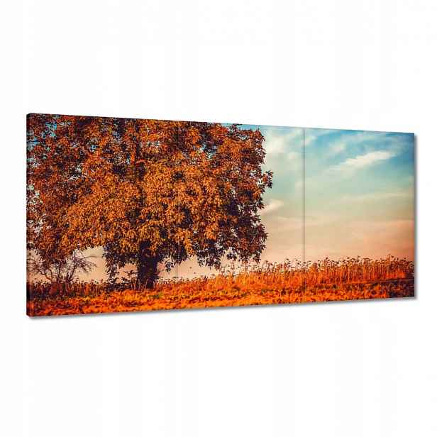 Obrazy 120x60 Podzimní barvy Krajina