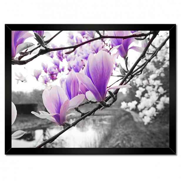 Plakáty v rámu 40x30 Magnolie Květiny
