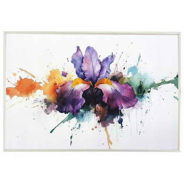 Plakát Rámeček Hliník Akvarel Příroda Květ Fialový Irys Splash 60x40