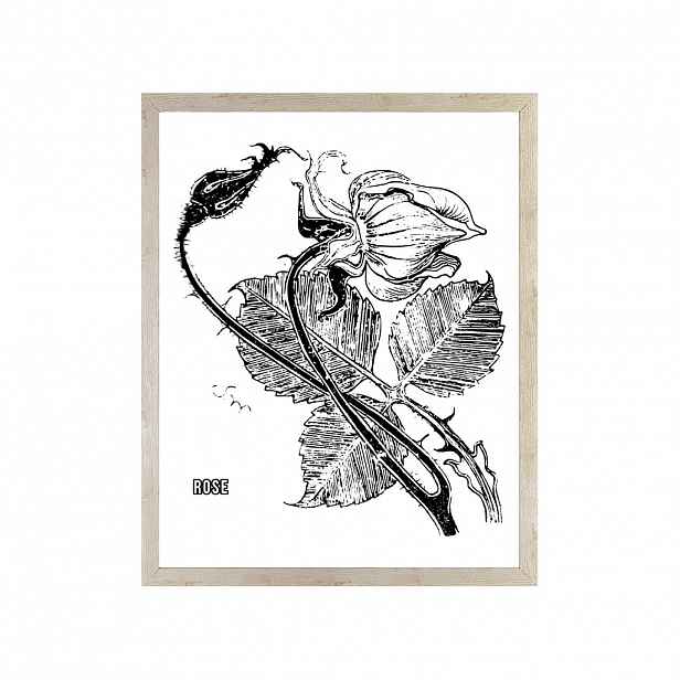 Vyspiánský Rose Donum Artis obraz