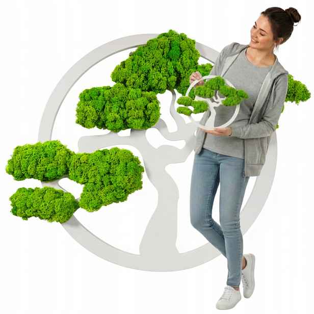 Stromek Štěstí z mechu chrobotka Bonsai k zavěšení sobí mech