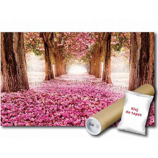 Vinylová fototapeta Park uličky růžové květy cesta výhled 312x219