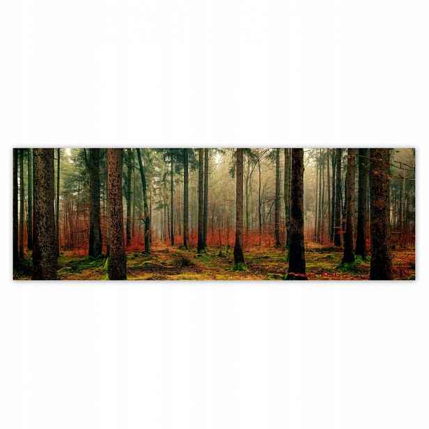 Plakáty 200x66 Les Krajina