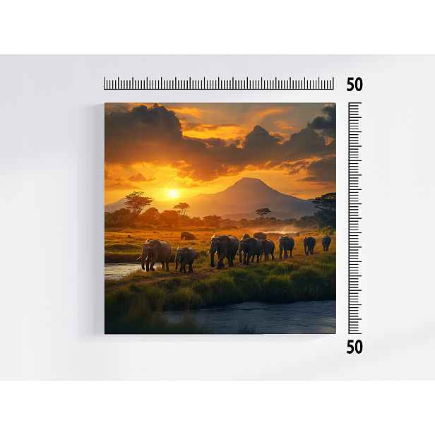 Obraz Na Plátně Canvas Zvířata Fauna Afrika Slon Sloni Západ 50x50