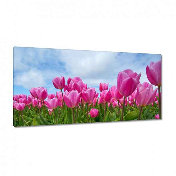Obrazy 115x55 Tulipány Květiny