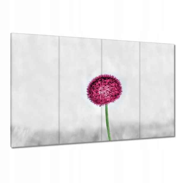 Obrazy 120x80 Růžový pampeliška Květina