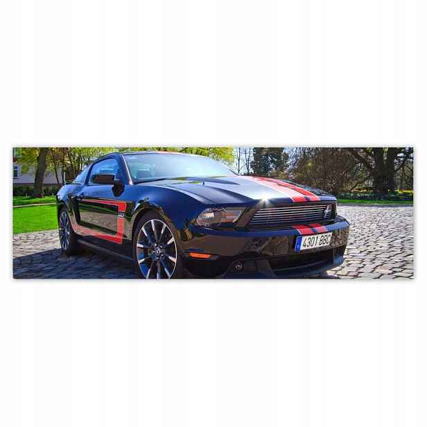 Plakáty 200x66 Ford Mustang s pruhy