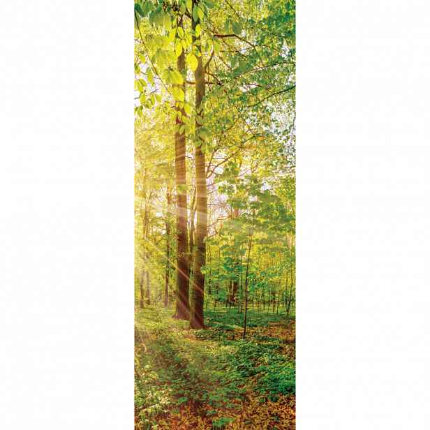 Euroart OBRAZ NA PLÁTNĚ, krajina a příroda, 30/80/3 cm - Obrazy na plátně - 005721022202