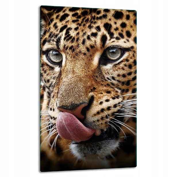 7v1 Skleněná Deska Panel Deska 30x52 Tygr