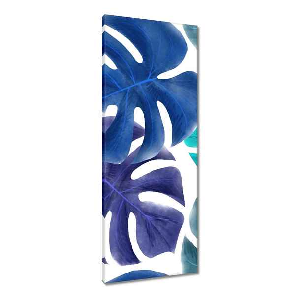 Obrazy 40x100 Monstera Listy Modrá
