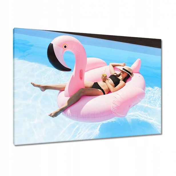 Obrazy 100x70 Slečna na růžovém plameňáku