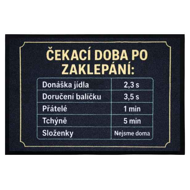 Rohožka Čekací doba 40x60 cm - na ven i na doma, 40x60, černá, Mercury Flooring