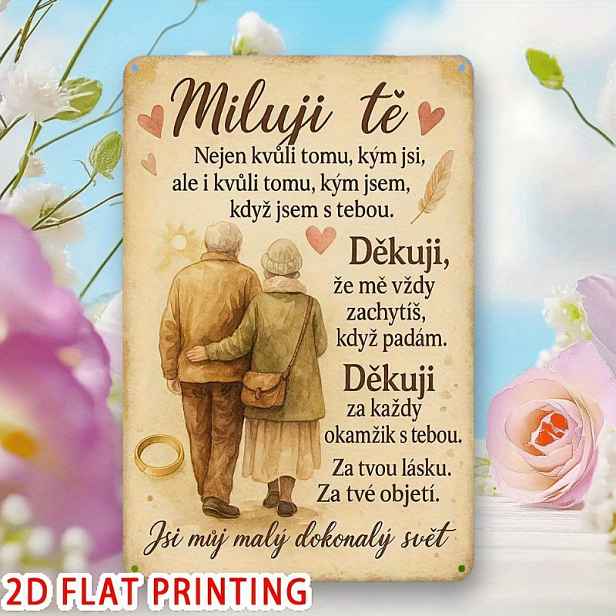 TEMU 2D Plochý, 1 ks Vintage Český Slogan Kovová Nástěnná Tabule - Retro Česká Fráze Železná Nástěnná Dekorace 20x30 cm (1 ks) pro Domov, Bar,
