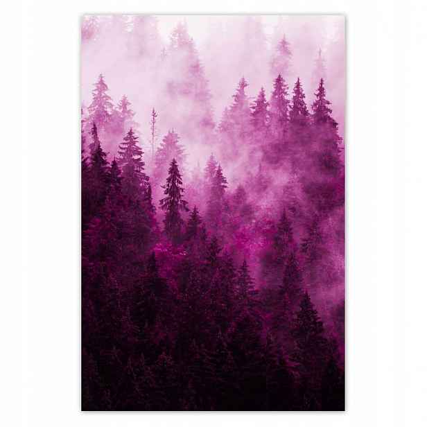 Fototapety 169x254 Krajina růží Hory Mlha