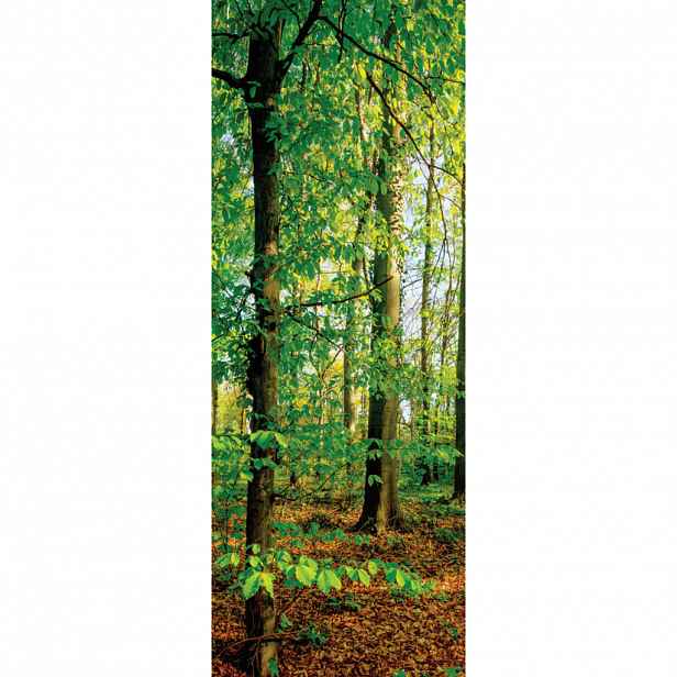 Euroart OBRAZ NA PLÁTNĚ, stromy, 30/80/3 cm - Obrazy na plátně - 005721022201