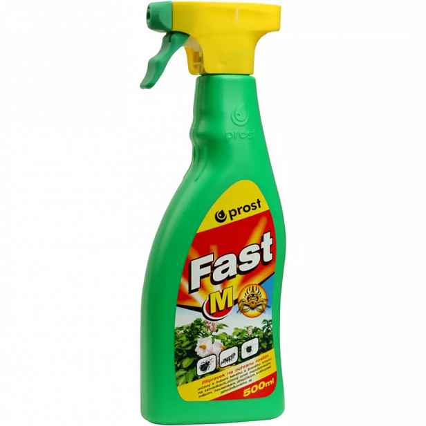 Fast M 500 ml