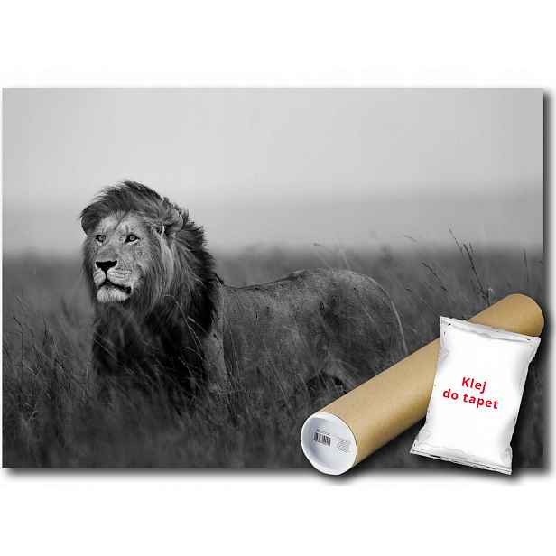 Fototapeta Lev 12C V8 368x254 F11760