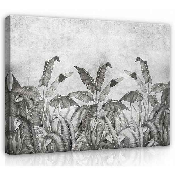 Obraz Na Plátně Canvas 70x50 Listy Rostliny Beton Stěna Imitace Přírody