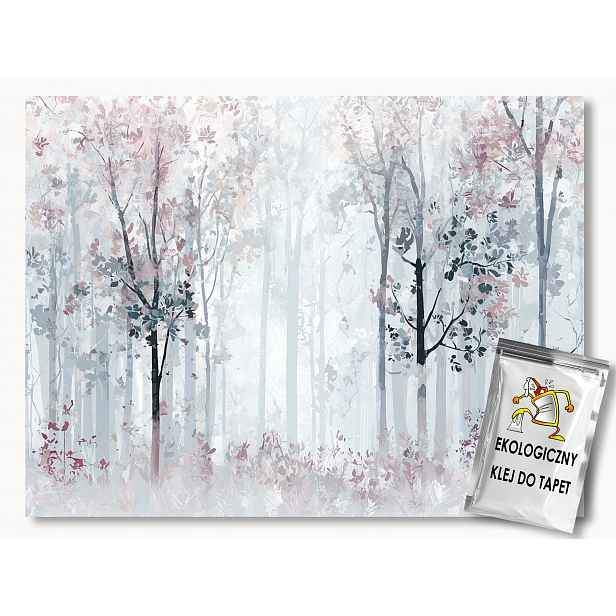 Vliesová fototapeta Krajina Les Stromy Mlha Pohádka Kouzlo 416x254 130g