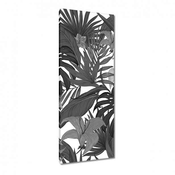 Obrazy 40x100 Černobílá monstera
