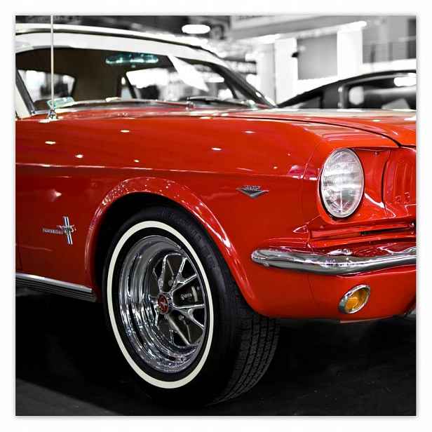 Plakáty 140x140 Červený Mustang