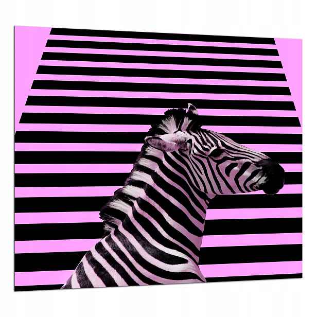 Skleněná Ochranná Deska 65x60 Zebra