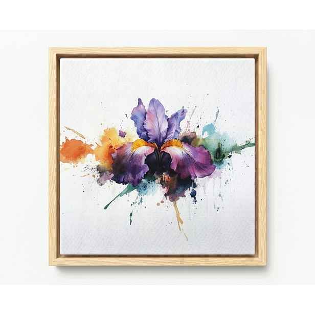 Obraz Rám Americký Box Akvarel Příroda Květ Fialový Irys Splash 50x50