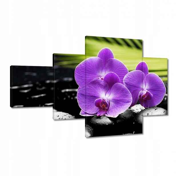 Obrazy 130x80 Fialové orchideje