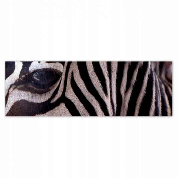 Plakáty 200x66 Makro fotografie zebra